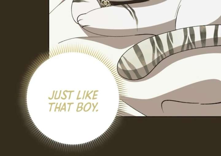 The White Tiger Princess is Not in Danger Chapter 8 - Page 62