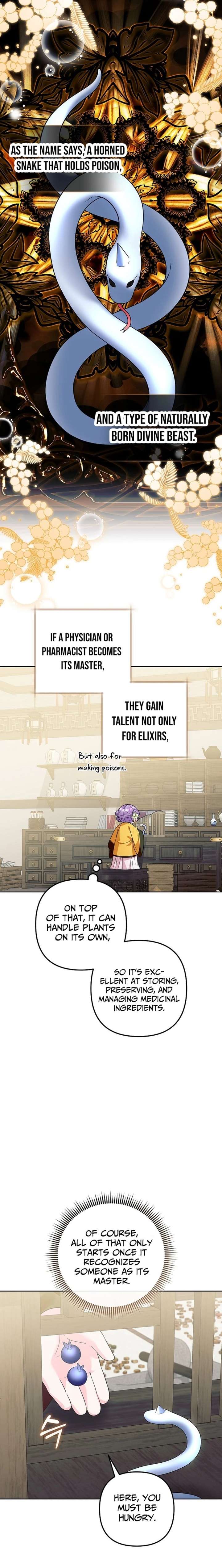 The Terminally Ill Baby Healer Doesn’t Hide Her Genius Chapter 41 - Page 17