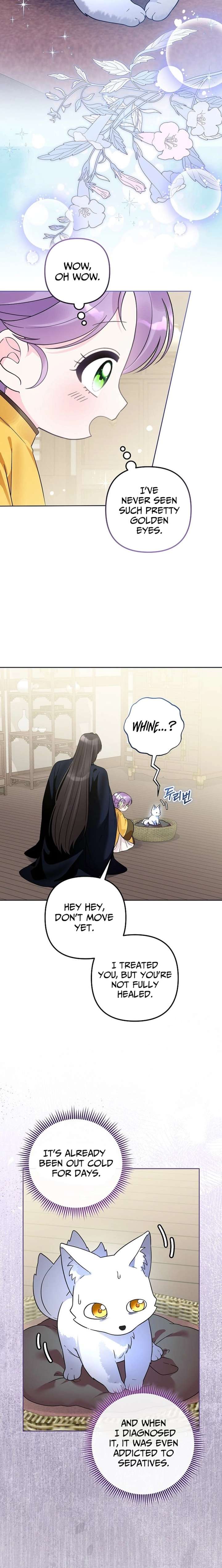 The Terminally Ill Baby Healer Doesn’t Hide Her Genius Chapter 41 - Page 7