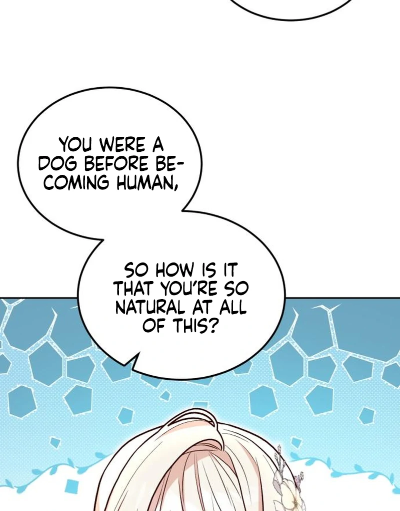 The Emperor’s Dog Chapter 30 - Page 42