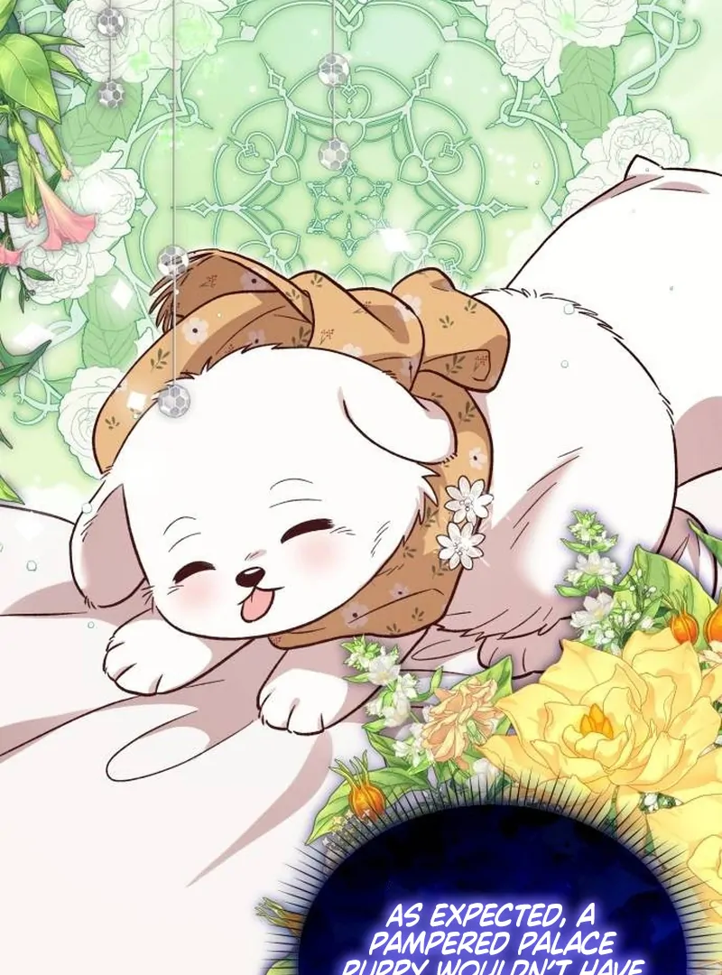 The Emperor’s Dog Chapter 33 - Page 57