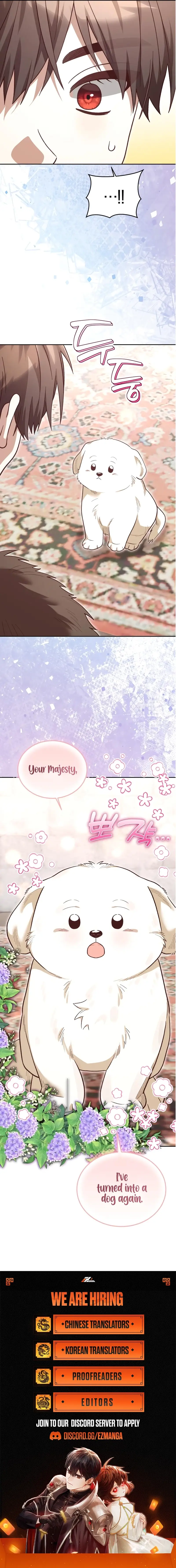 The Emperor’s Dog Chapter 39 - Page 11