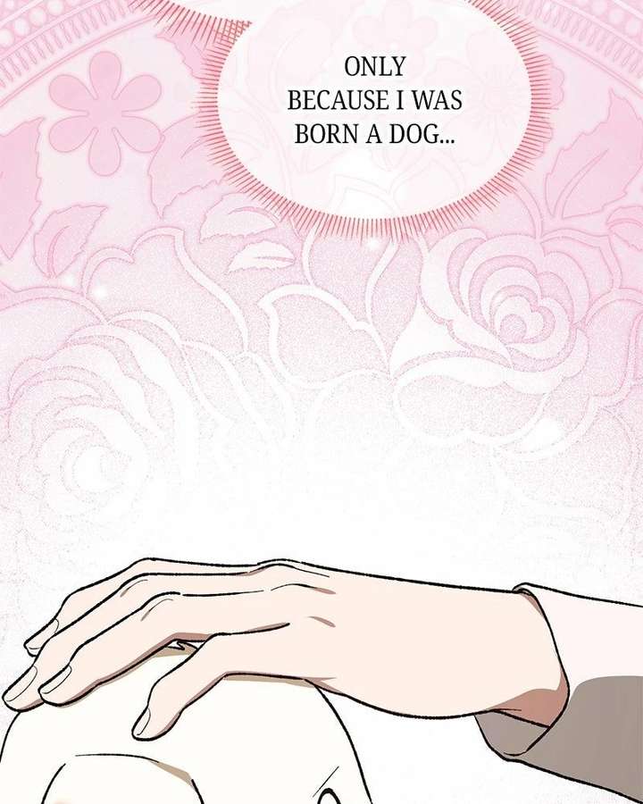 The Emperor’s Dog Chapter 54 - Page 44