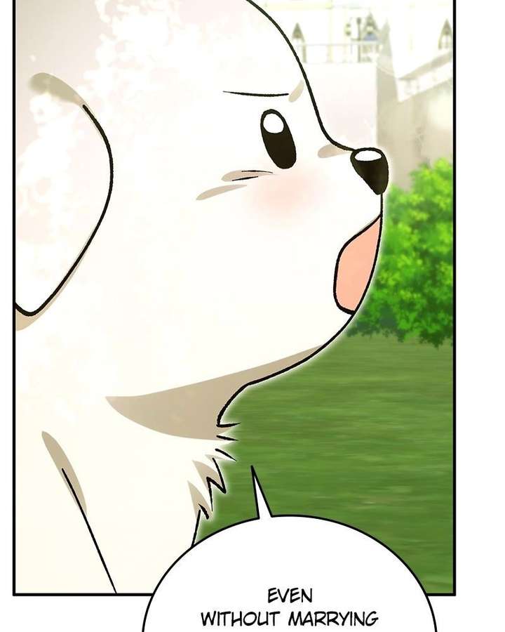 The Emperor’s Dog Chapter 55 - Page 27