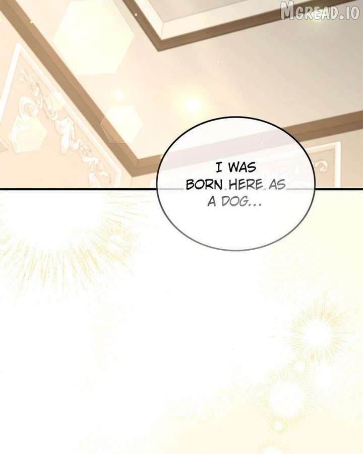The Emperor’s Dog Chapter 62 - Page 135