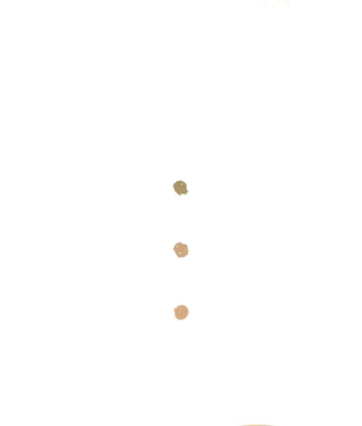 Becoming the Guide of the Mysophobic Villain? Absolutely Not! Chapter 15 - Page 86