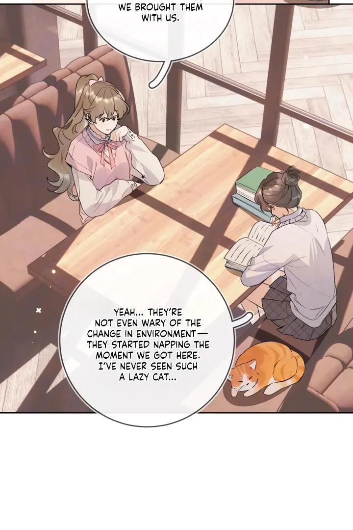 Confession Chapter 47 - Page 27