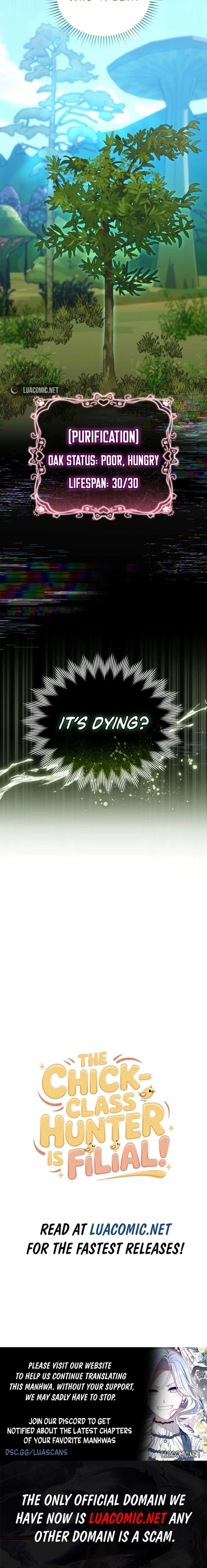 The Chick-Class Hunter is Filial! Chapter 63 - Page 15