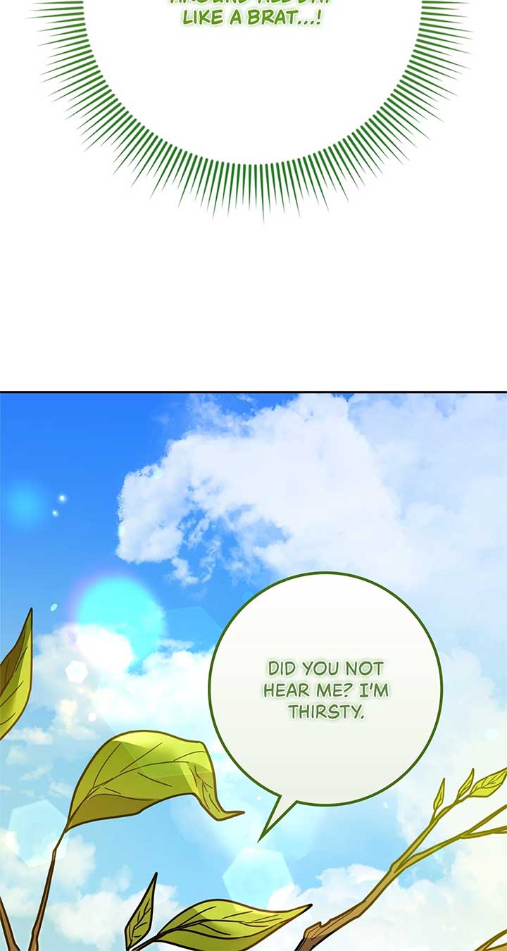 The Beloved Gardener of the World Tree Chapter 1 - Page 13