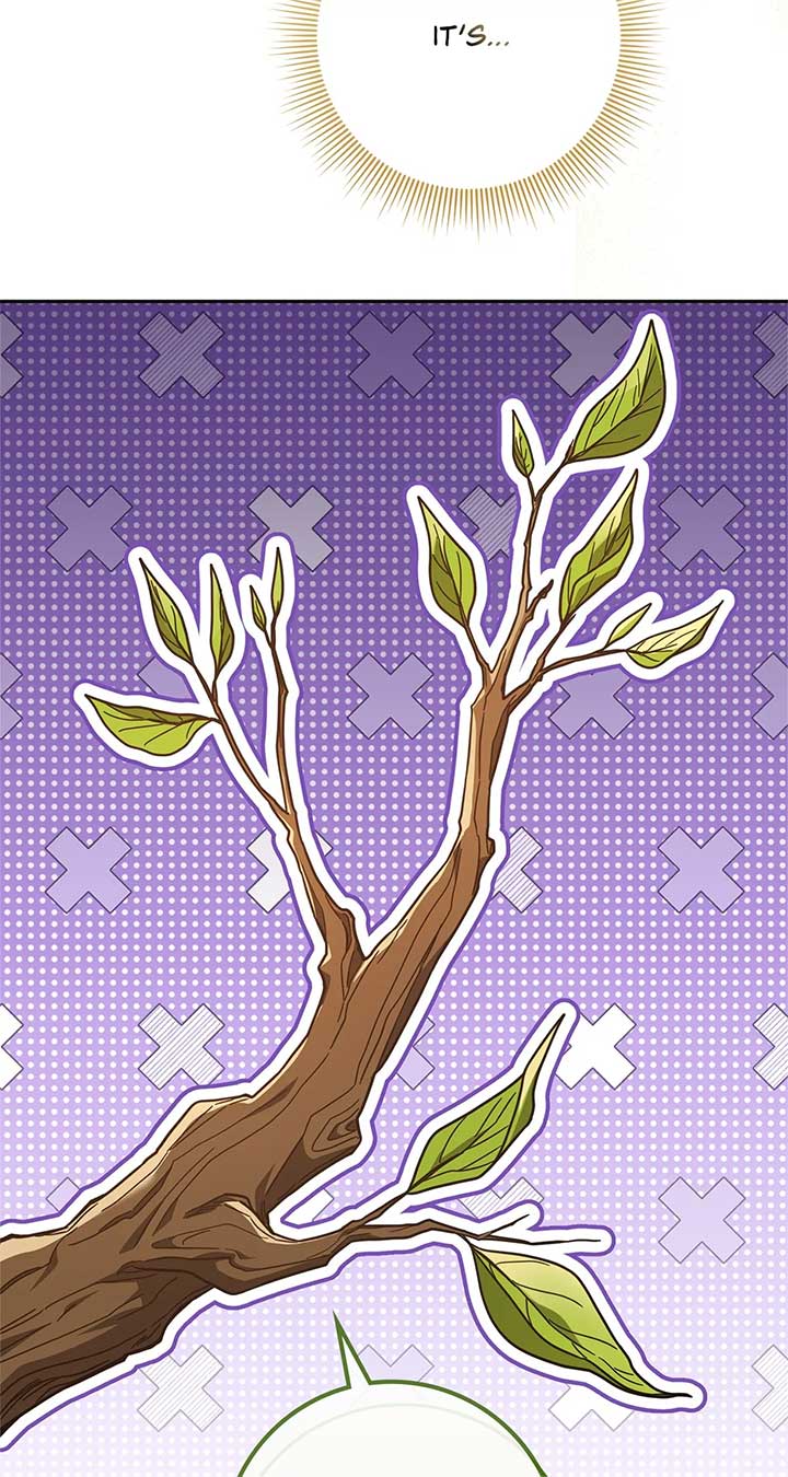 The Beloved Gardener of the World Tree Chapter 1 - Page 9