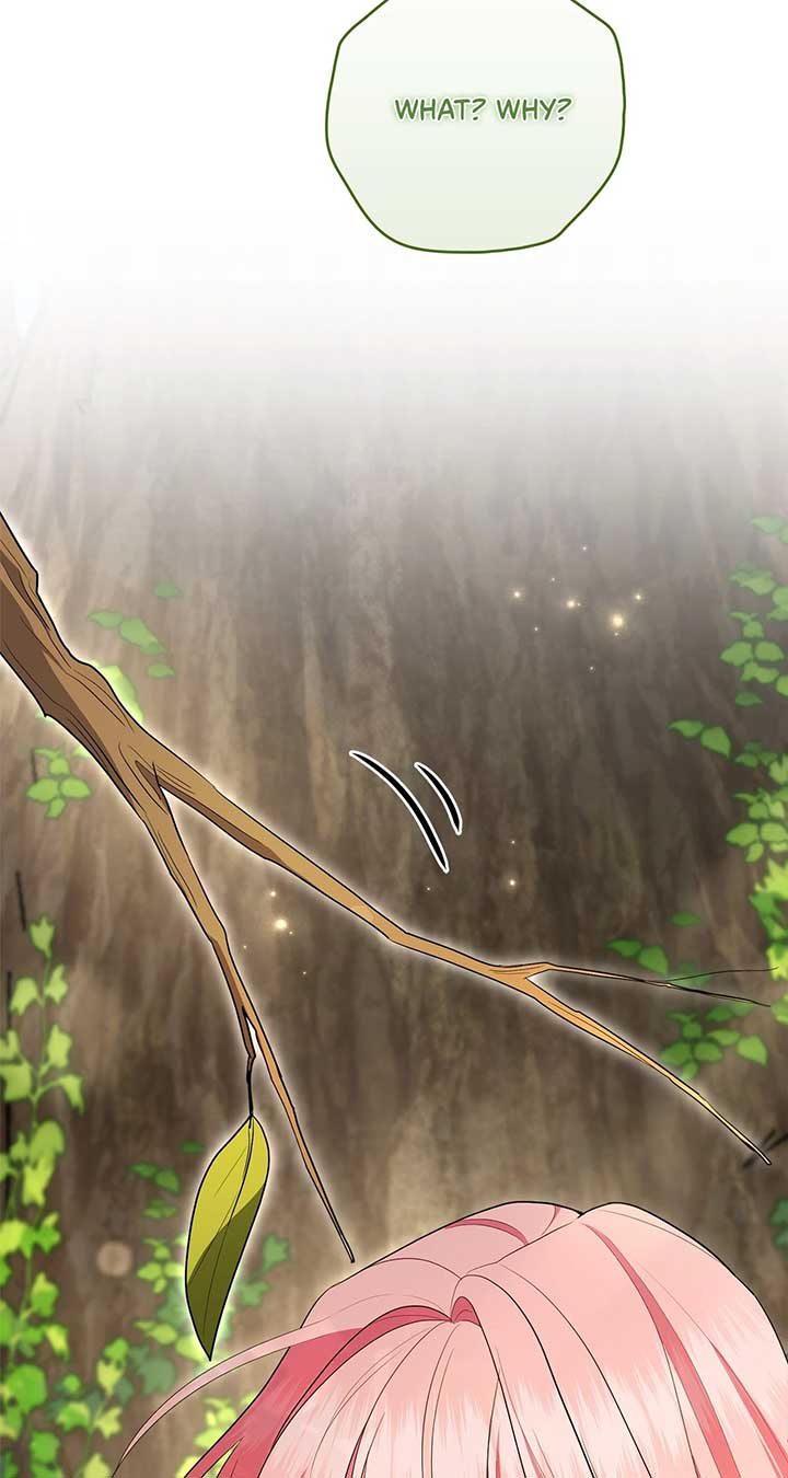 The Beloved Gardener of the World Tree Chapter 10 - Page 83