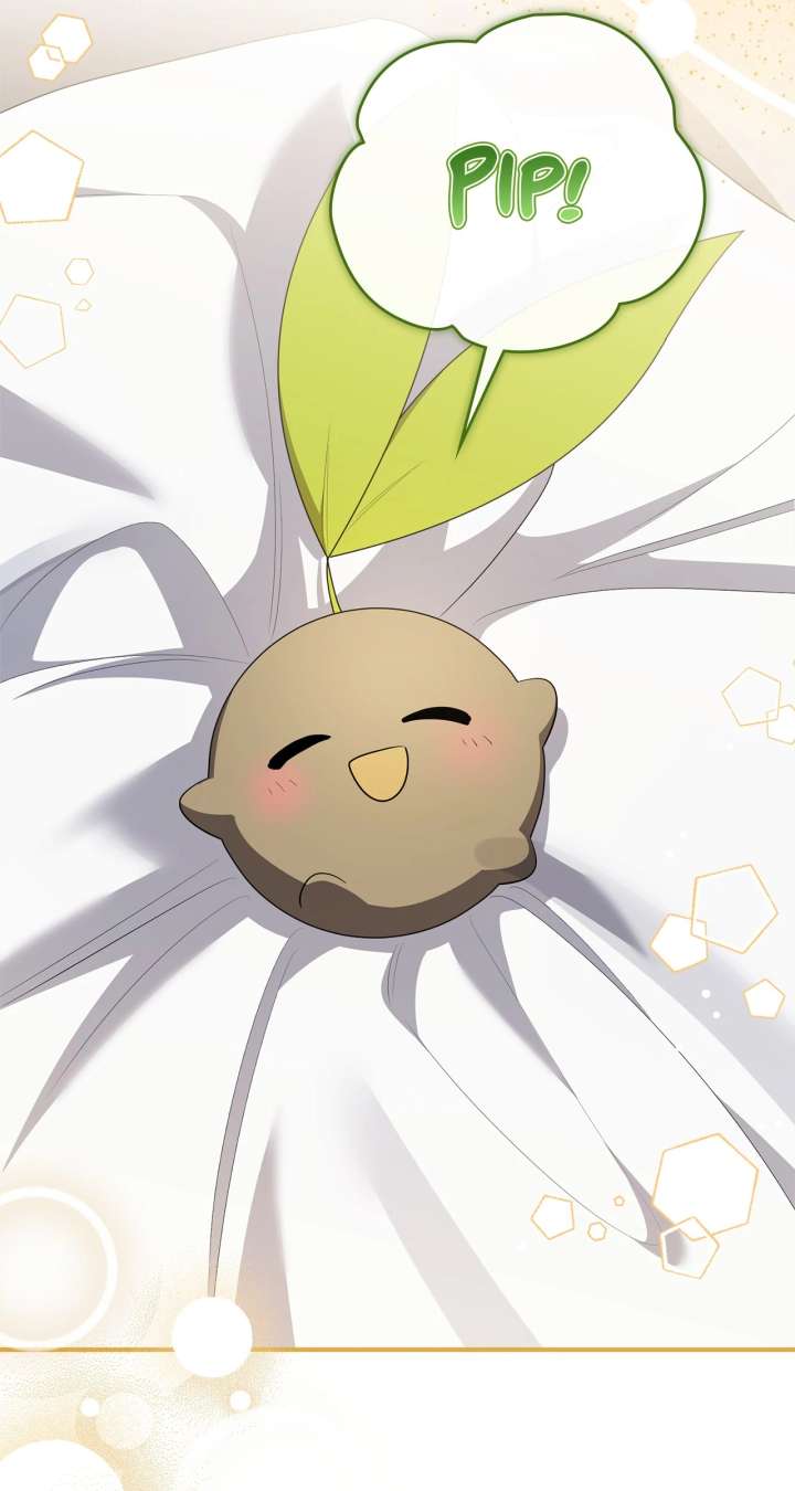 The Beloved Gardener of the World Tree Chapter 13 - Page 13