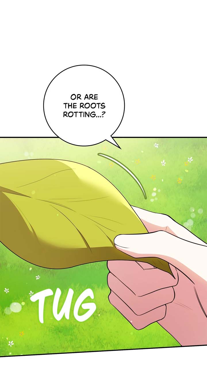 The Beloved Gardener of the World Tree Chapter 2 - Page 112