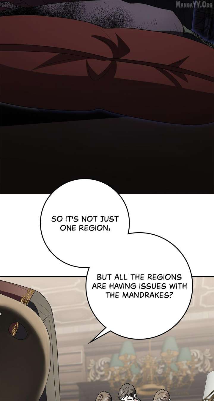 The Beloved Gardener of the World Tree Chapter 24 - Page 5