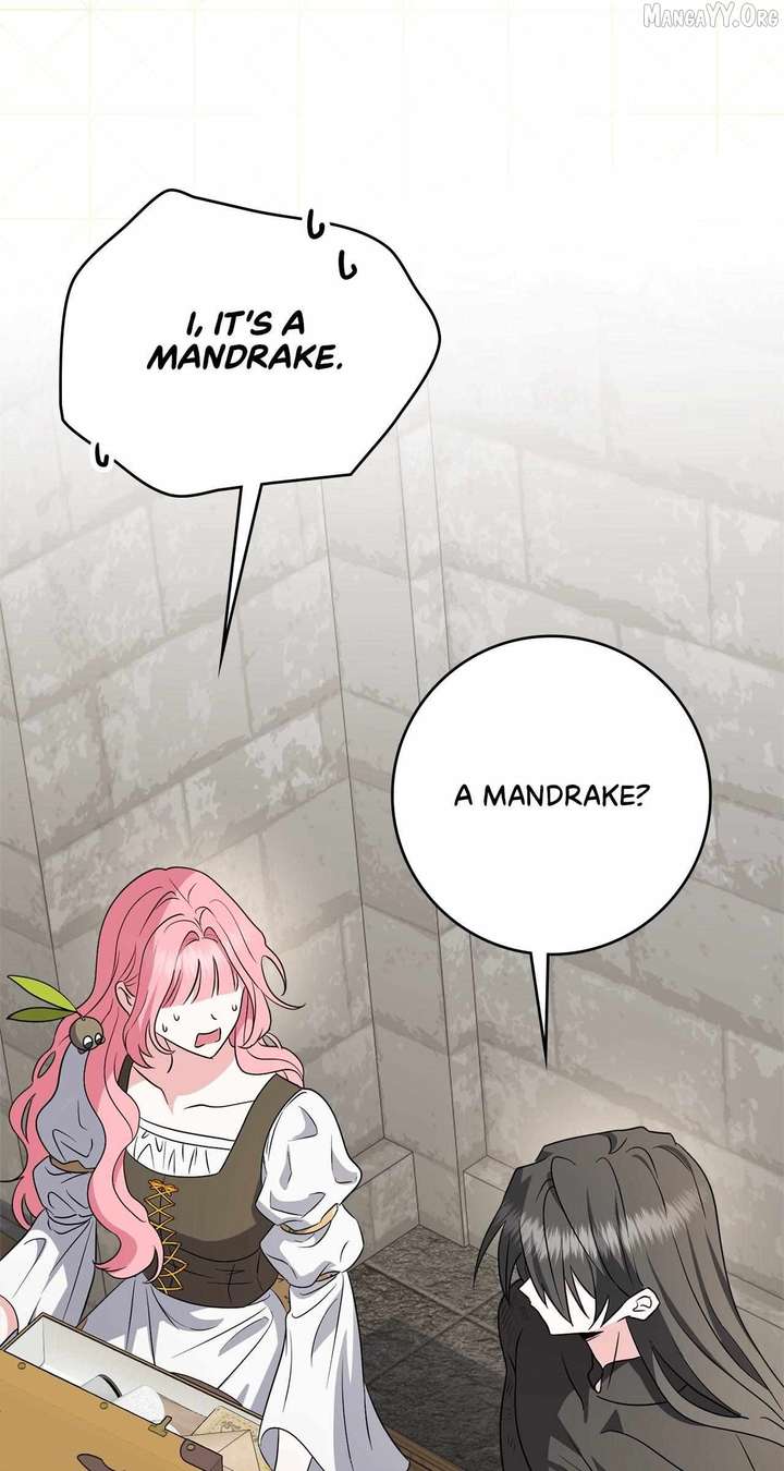 The Beloved Gardener of the World Tree Chapter 27 - Page 32