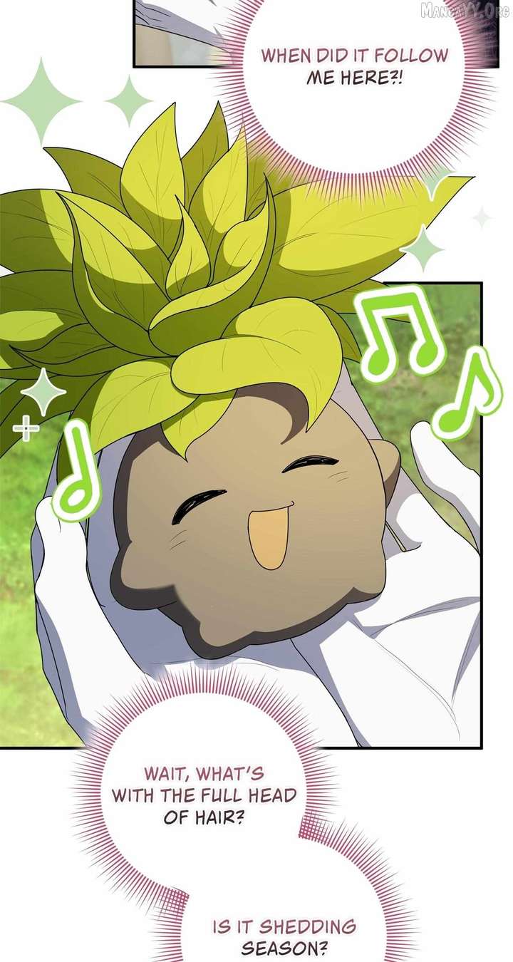 The Beloved Gardener of the World Tree Chapter 32 - Page 12