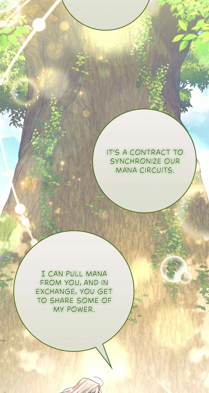The Beloved Gardener of the World Tree Chapter 39 - Page 46