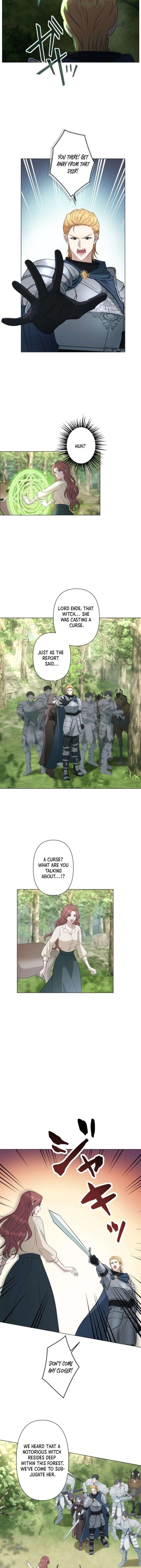 The Falsely Accused Villainess Can’t Escape the Knight! Chapter 1 - Page 5