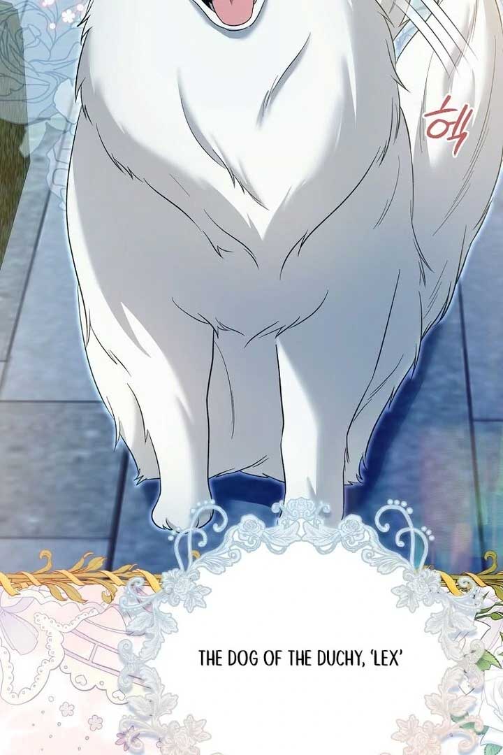 Rejecting The Perfect Marriage Chapter 2 - Page 65