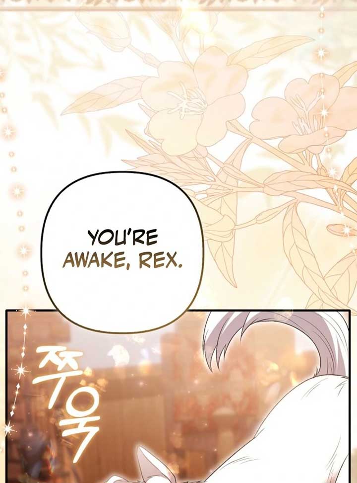 Rejecting The Perfect Marriage Chapter 35 - Page 71