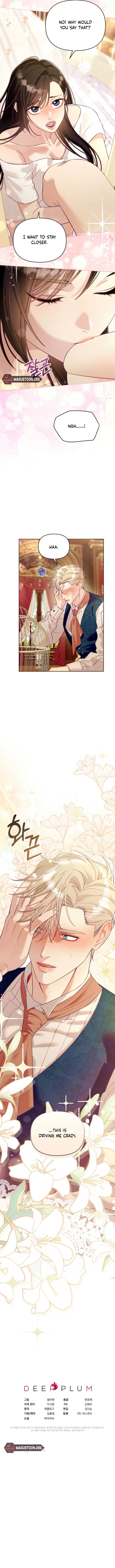 The Collector’s Cage Chapter 8 - Page 11