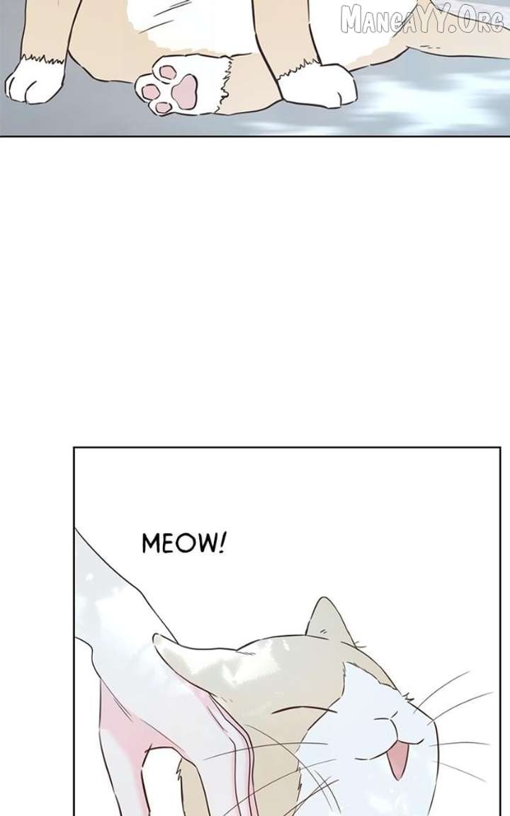 My Fake Love Chapter 35 - Page 12