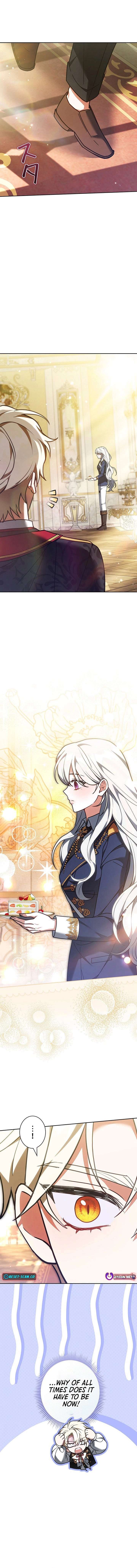 I Was Supposed to Be a Stalker Lady, but Somehow I’m Being Adored Instead Chapter 33 - Page 7