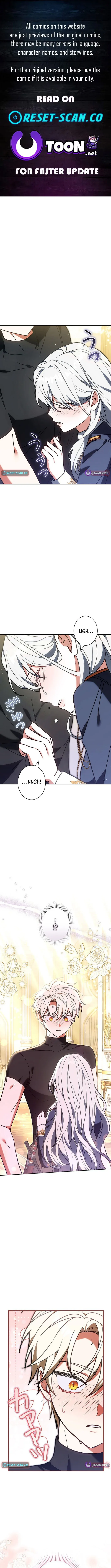 I Was Supposed to Be a Stalker Lady, but Somehow I’m Being Adored Instead Chapter 37 - Page 1