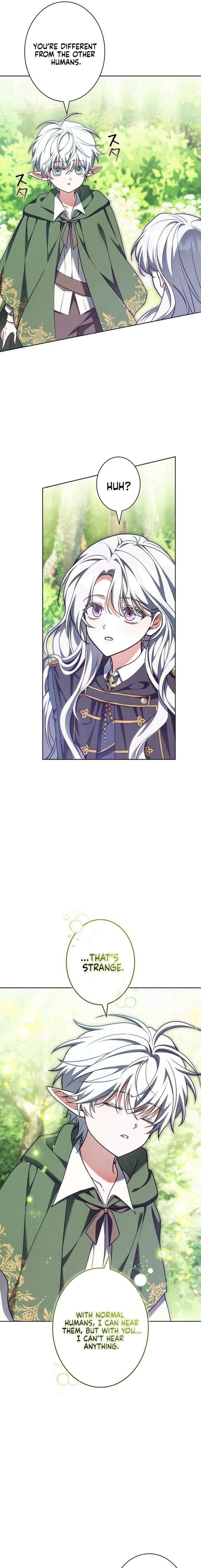 I Was Supposed to Be a Stalker Lady, but Somehow I’m Being Adored Instead Chapter 4 - Page 13