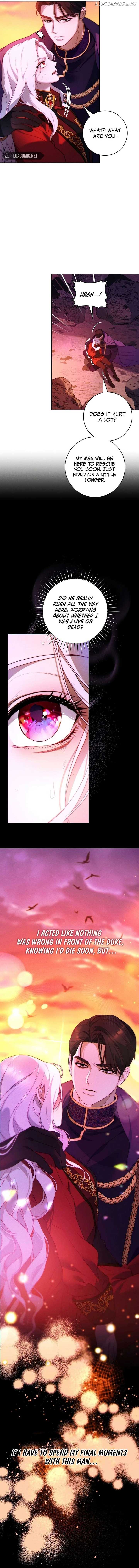 This Marriage Will Surely Succeed Chapter 1 - Page 8