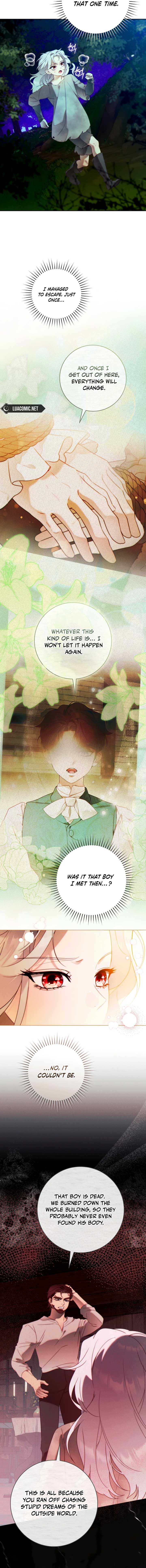 This Marriage Will Surely Succeed Chapter 43 - Page 7