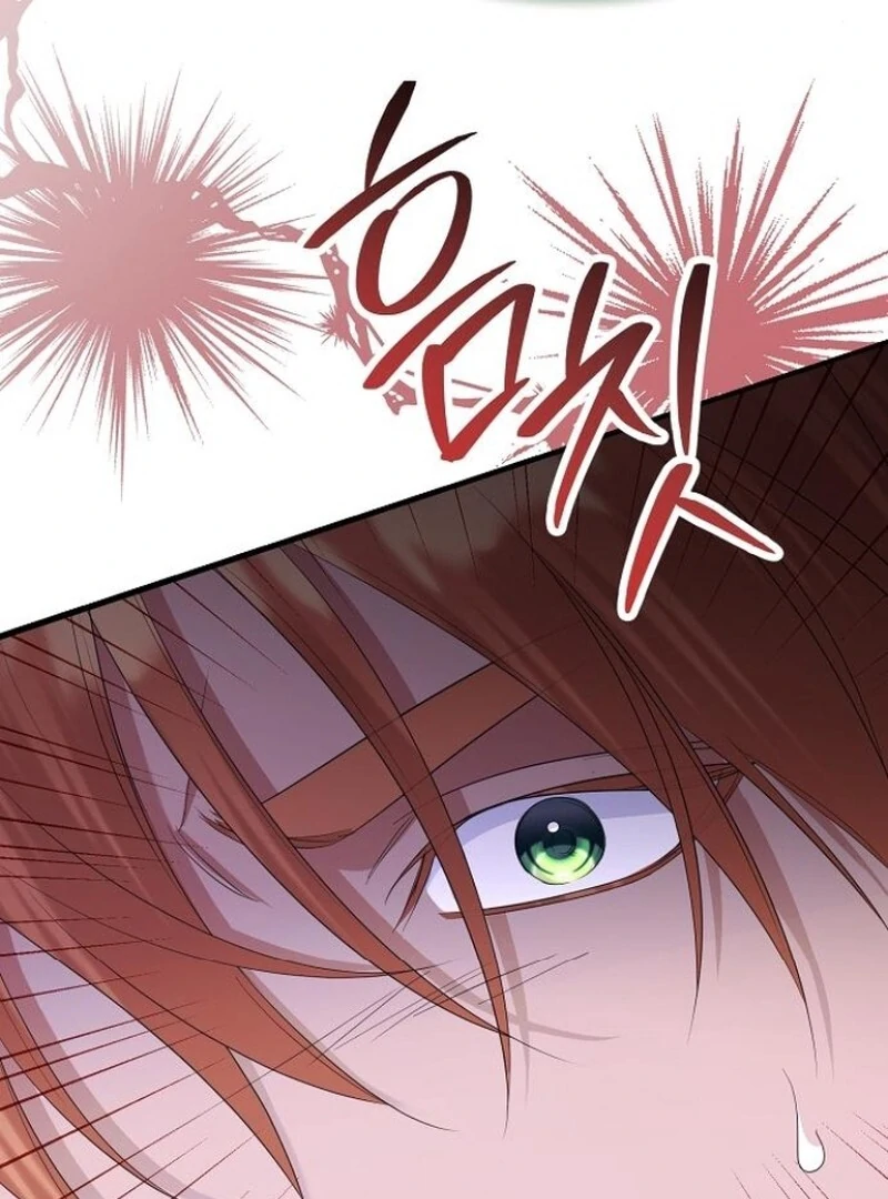 Adopted by a Murderous Duke Family Chapter 80 - Page 79