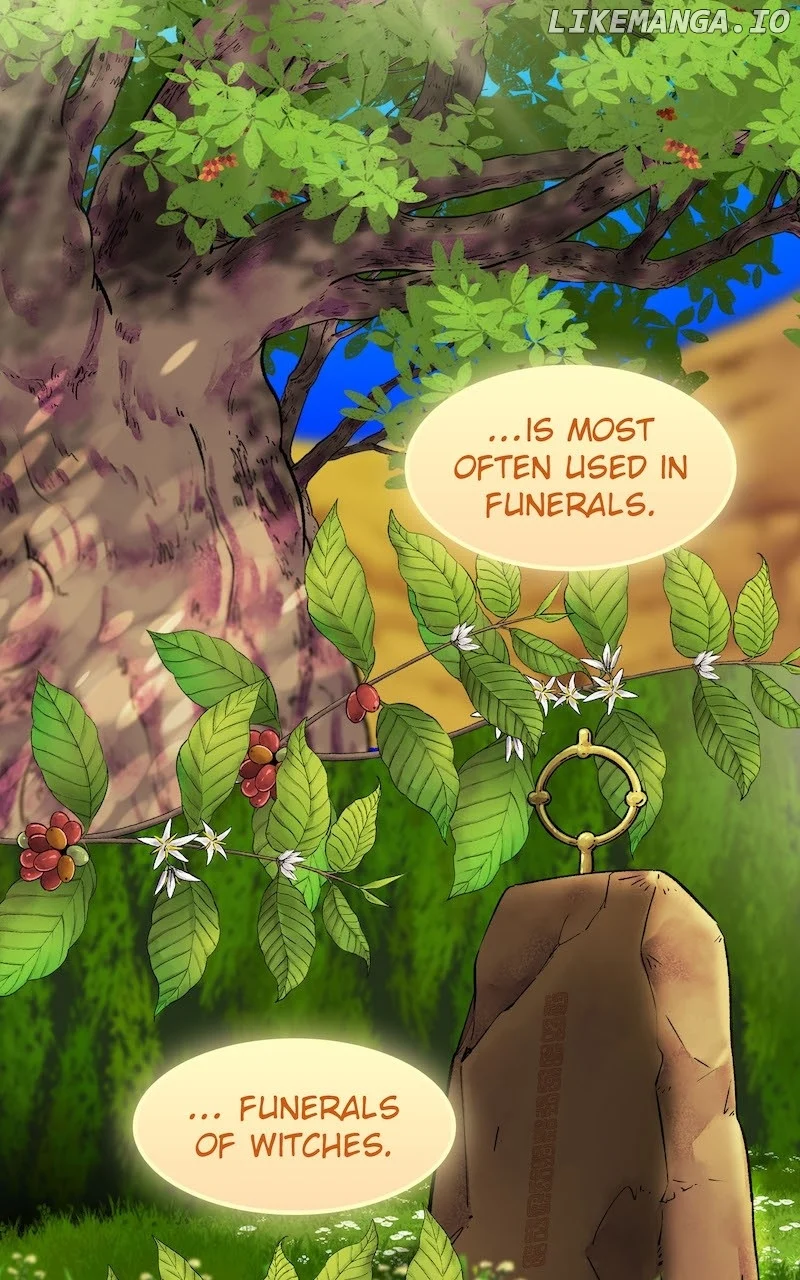 The Witch and The Bull Chapter 135 - Page 2