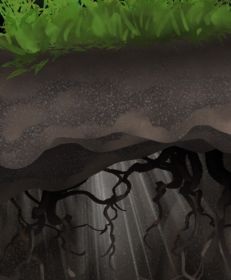 The Witch and The Bull Chapter 19 - Page 37