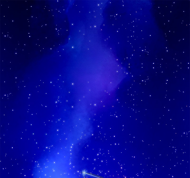 The Witch and The Bull Chapter 37 - Page 1