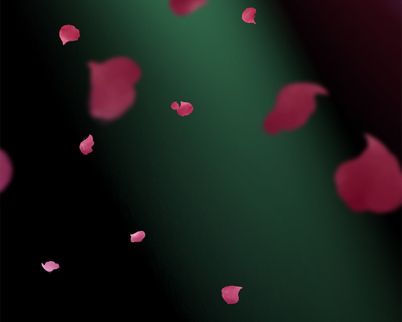 The Witch and The Bull Chapter 40 - Page 86