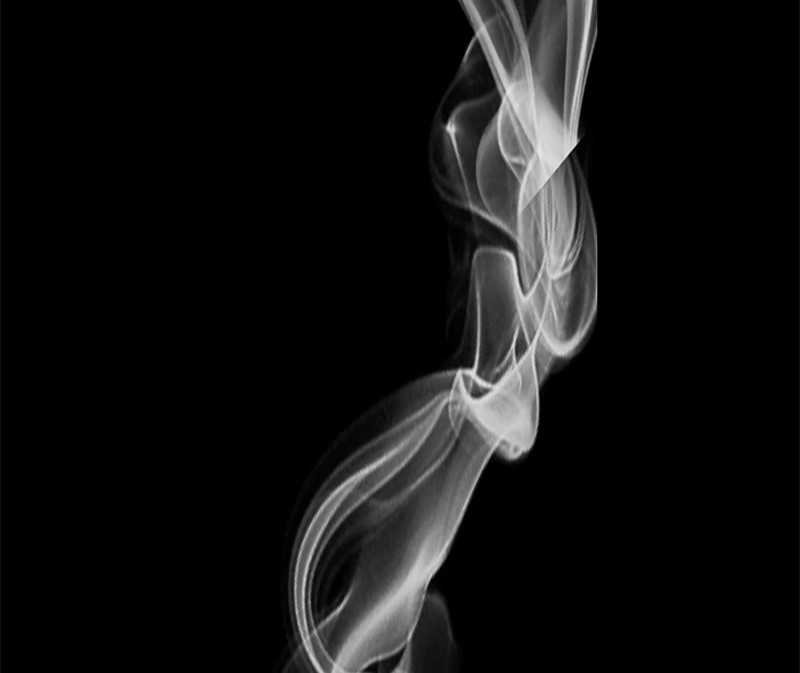 The Witch and The Bull Chapter 42 - Page 41