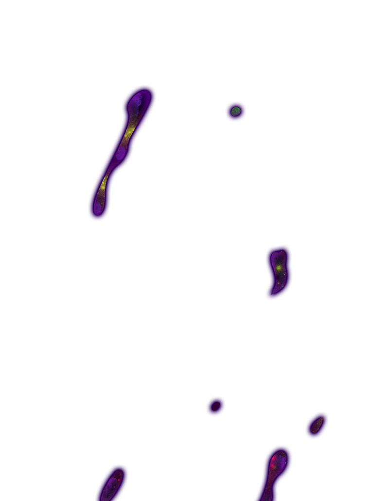 The Witch and The Bull Chapter 54 - Page 100