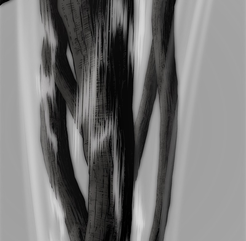 The Witch and The Bull Chapter 54 - Page 47