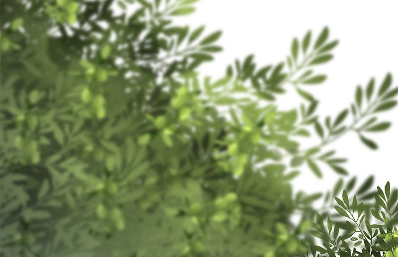 The Witch and The Bull Chapter 59 - Page 15