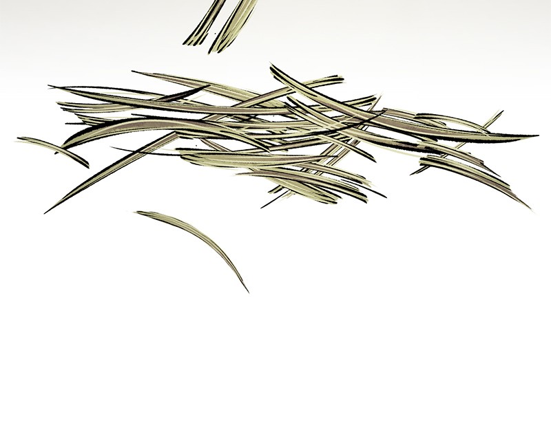 The Witch and The Bull Chapter 61 - Page 73