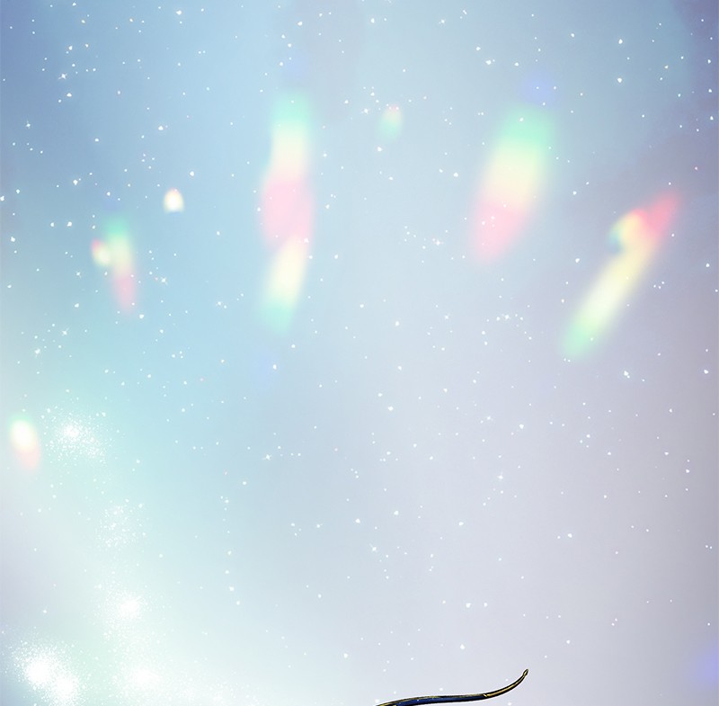 The Witch and The Bull Chapter 63 - Page 3