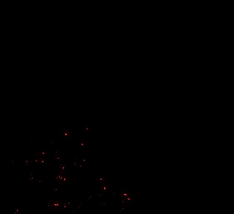 The Witch and The Bull Chapter 71 - Page 1