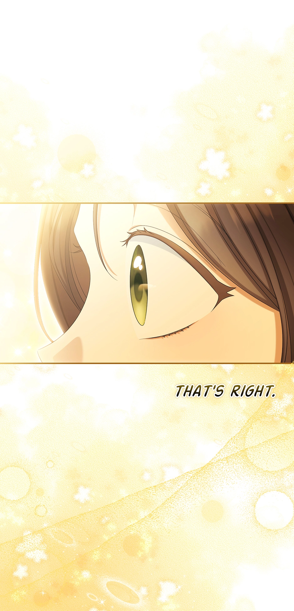 Why Are You Obsessed With Your Fake Wife? Chapter 103 - Page 65