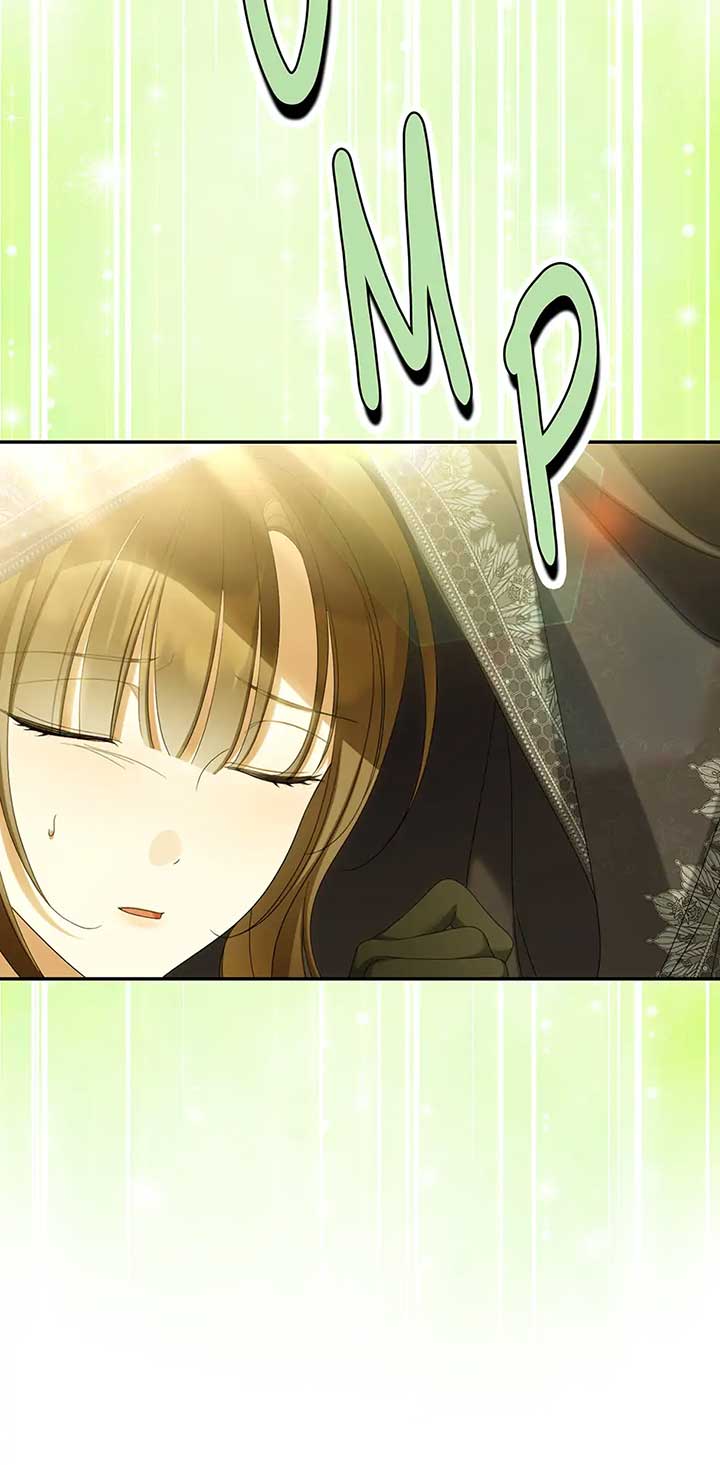 Why Are You Obsessed With Your Fake Wife? Chapter 65 - Page 13