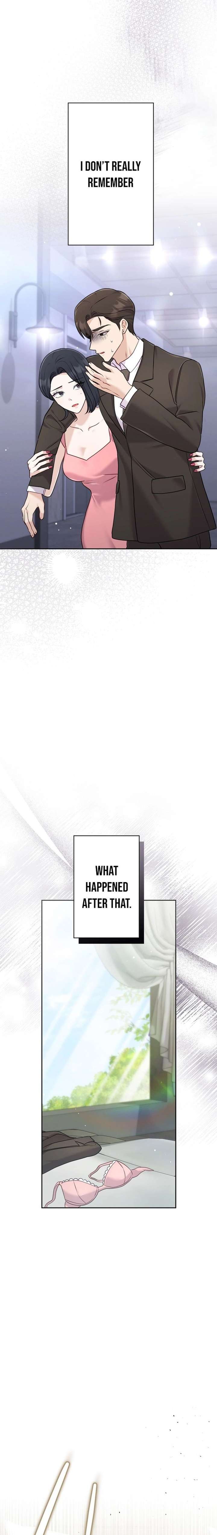 The Fiancé After the Rain Chapter 14 - Page 17